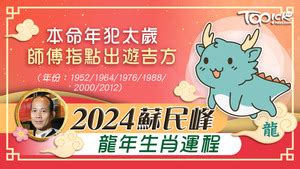 文昌位富貴竹|2024年龍年布局｜蘇民峰教家居風水布局 趨旺財運桃 